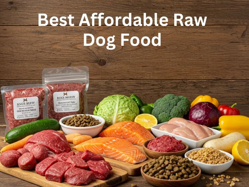 best affordable raw dog food