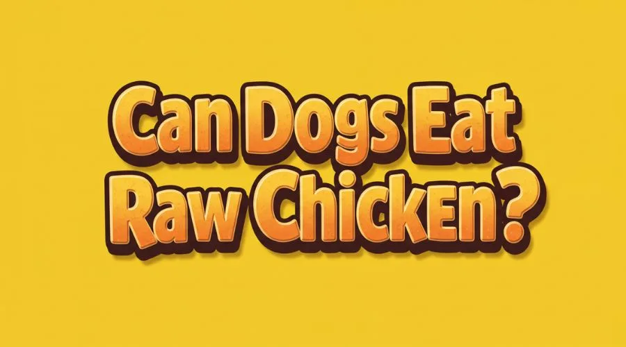 Can Dogs Eat Raw Chicken